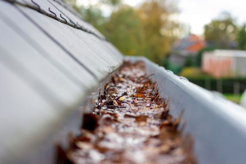 Clogged Gutter Damage